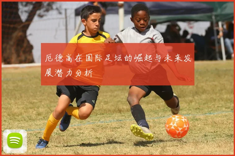 厄德高在国际足坛的崛起与未来发展潜力分析
