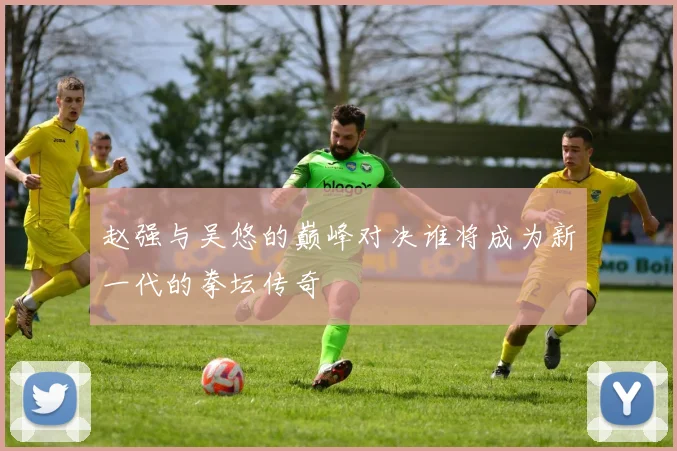 赵强与吴悠的巅峰对决谁将成为新一代的拳坛传奇