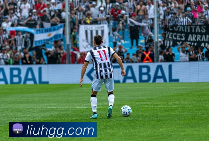 3377体育平台生态图