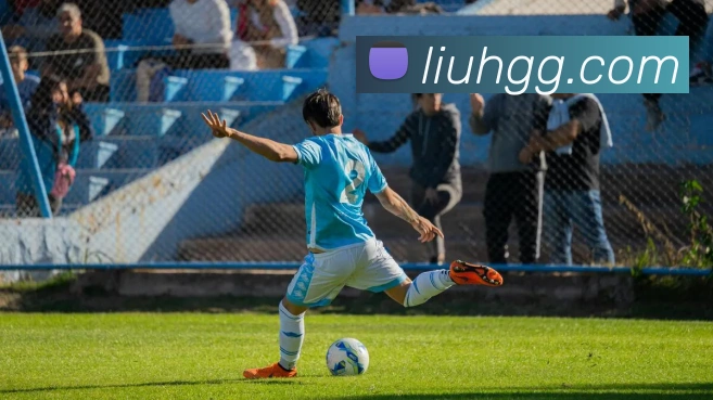 3377体育APP 封面图